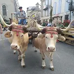 بيت للعطل Du Moulin D'arudy En Vallee D'ossau *
