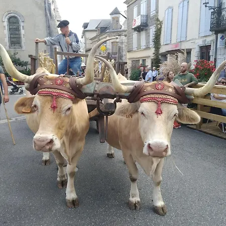 Semesterbostad Du Moulin D'arudy En Vallee D'ossau *