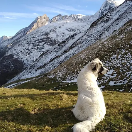 Du Moulin D'arudy En Vallee D'ossau Arudy