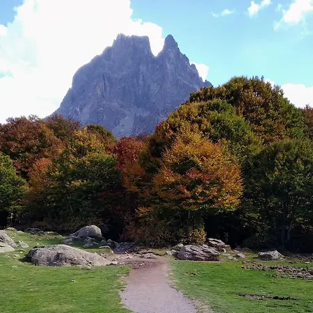 Vakantiehuis Du Moulin D'arudy En Vallee D'ossau *