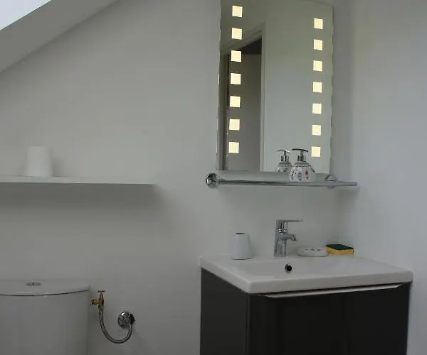 Feriehus Du Moulin D'arudy En Vallee D'ossau