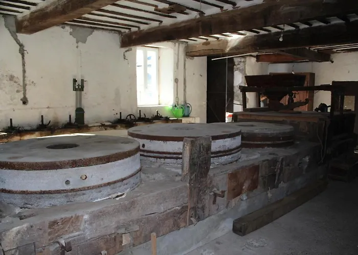 Du Moulin D'arudy En Vallee D'ossau Feriehus *