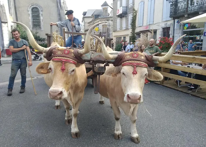 Feriehus Du Moulin D'arudy En Vallee D'ossau *