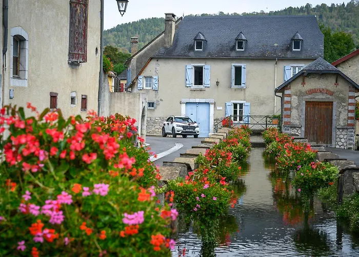 Du Moulin D'arudy En Vallee D'ossau *