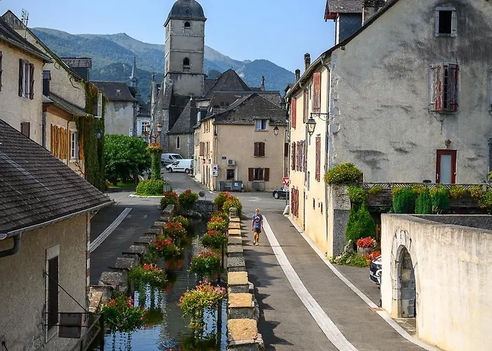 Feriehus Du Moulin D'arudy En Vallee D'ossau