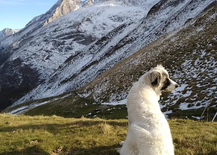 Du Moulin D'arudy En Vallee D'ossau Arudy