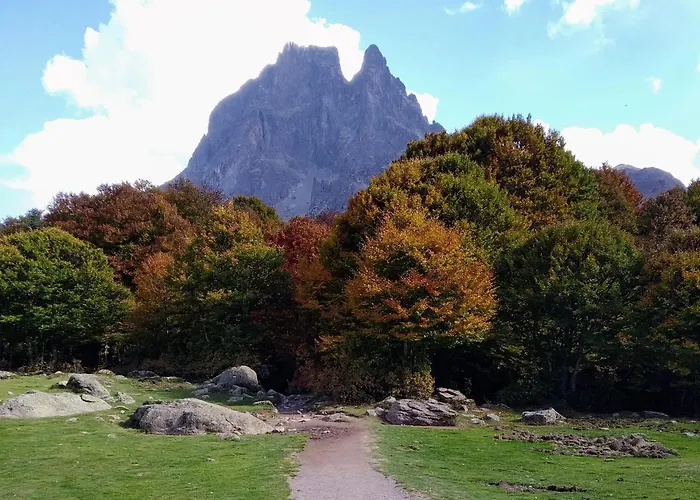 Feriehus Du Moulin D'arudy En Vallee D'ossau *